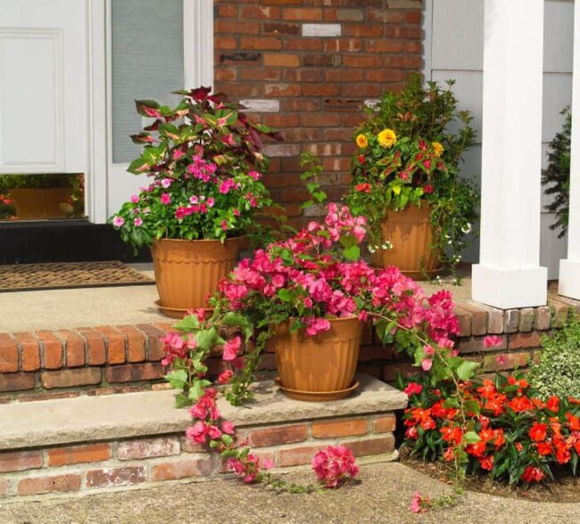 Low-Maintenance Easy Pots on Porch Stairs