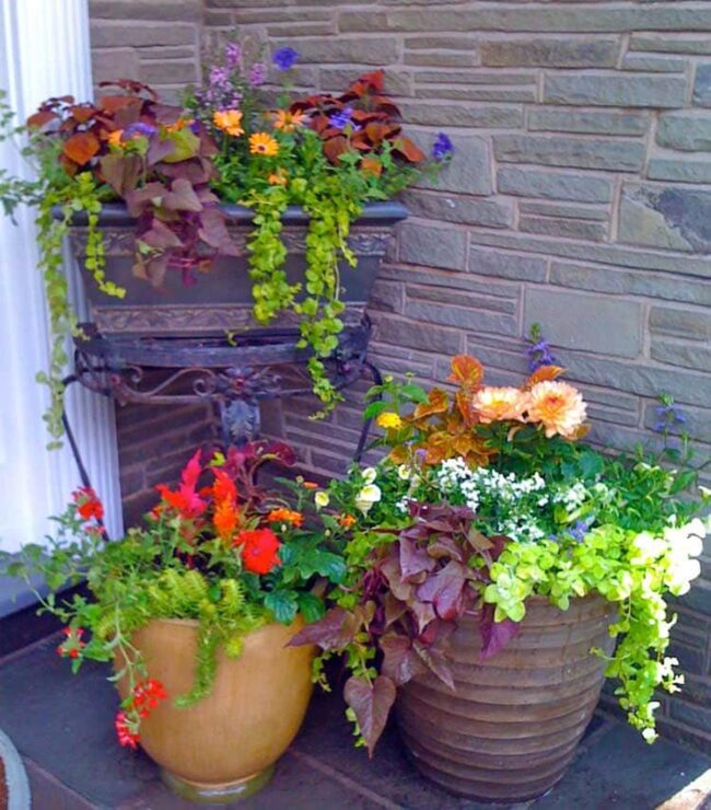 Entryway Planters Set The Tone For Your Home