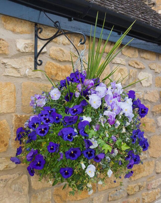 Front of House Hanging Baskets with A Twist